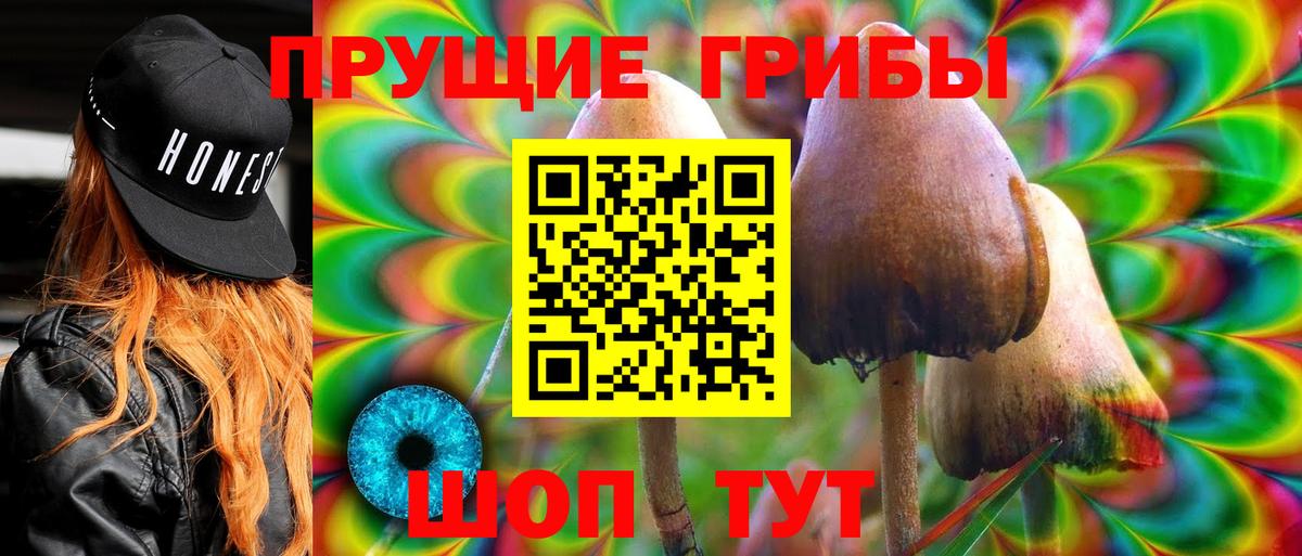 Нурлат  где можно купить   Вход с VPN  Галлюциногенные грибы Cubensis 